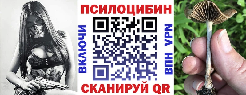 Галлюциногенные грибы Magic Shrooms  Тогучин 